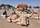 Sudan war cripples Al-Obeid crops market