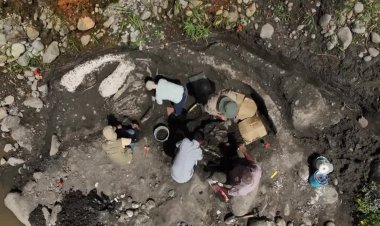 Costa Rica uncovers megafauna fossils