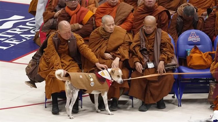 Monks complete 2,300 mile peace walk