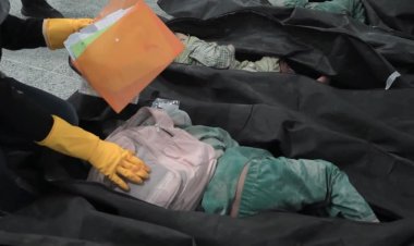 Deadly strike hits school in Minab