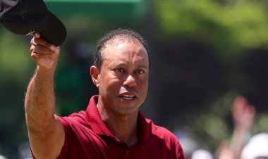Tiger Woods steps back after DUI