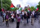 Thousands rally in NYC for Nakba Day