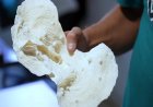 Brazil coral reef declines sharply