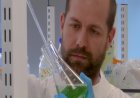 Scientists create fast-growing synthetic lichens