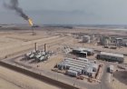 Oil climbs as Persian Gulf tensions intensify