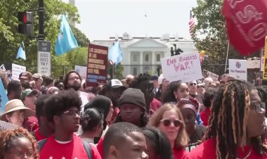 Protests in U.S. target immigration policies