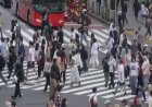 Japan's economy expands below forecast