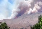 Nevada wildfire prompts state of emergency