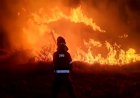Spain battles massive wildfires