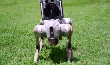 Atlanta deploys robot dogs for security