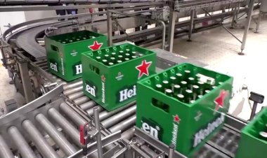 Heineken Profits Up After Job Cuts