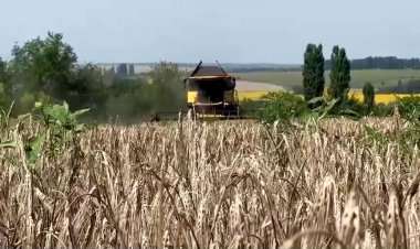 Ukraine's grain exports plunge