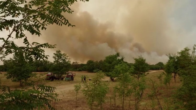 Serbia battles widespread wildfires