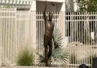 Vandalism mars Charlie Kirk statue