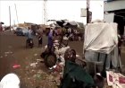 Houthis advance on Yemen's Red Sea coast