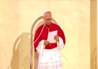 Pope Leo captivates crowds in France