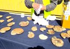Chile seizes 222 ancient ammonite fossils