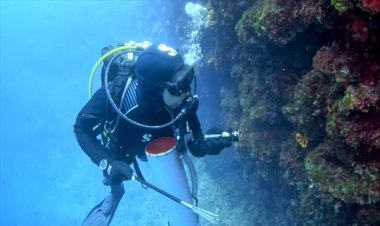 Croatia culls lionfish to protect marine life