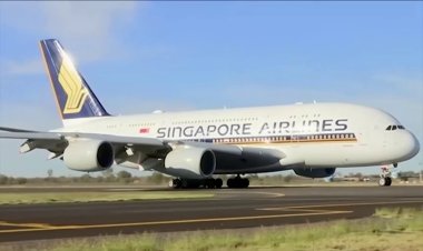 Singapore Airlines seeks overseas growth
