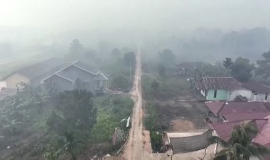 Indonesia wildfires emissions surge