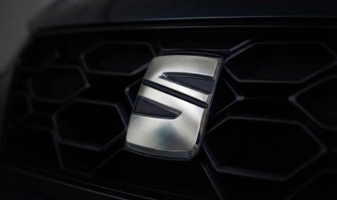 Seat on Brink: Chinese EV Rivals Gain Ground