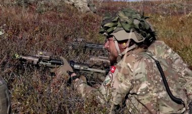 Denmark boosts Arctic presence in Greenland