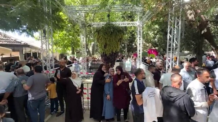Hebron's grape festival makes a comeback