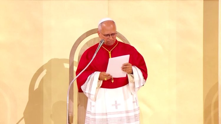 Pope Leo captivates crowds in France